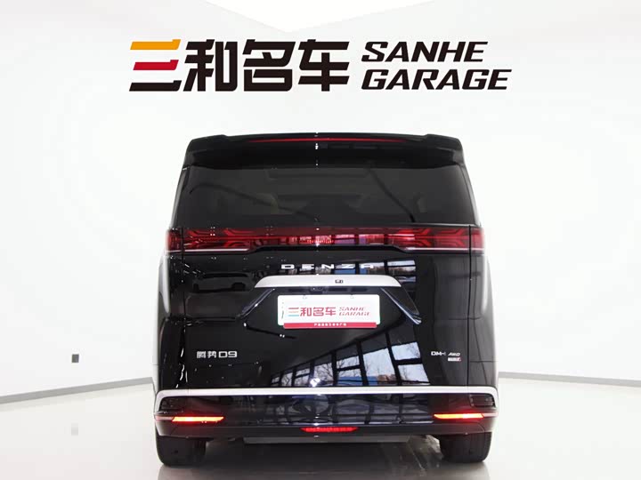 Фото 6 - Denza D9