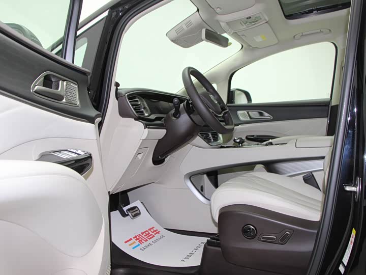 Фото 8 - Denza D9