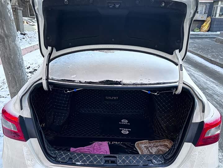 Фото 4 - Nissan Sylphy