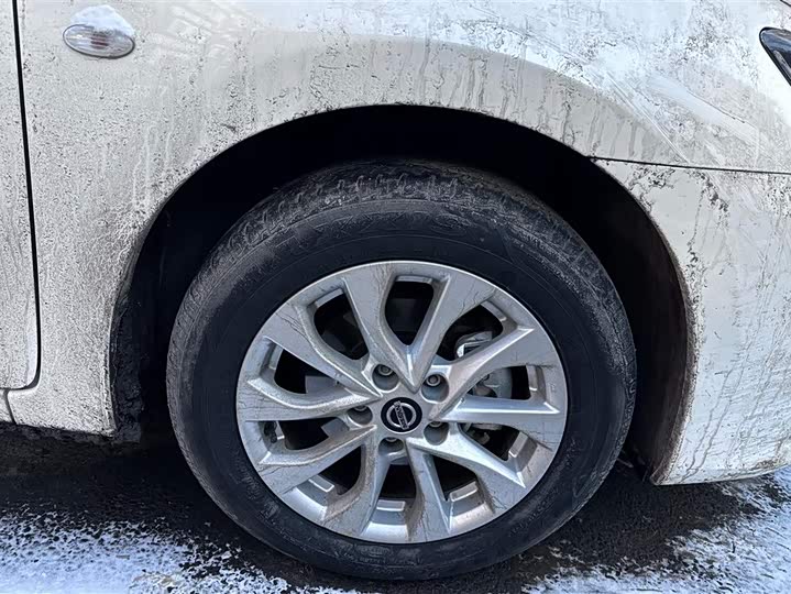 Фото 6 - Nissan Sylphy