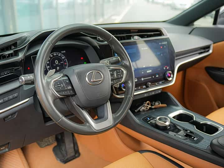 Фото 9 - Lexus RZ