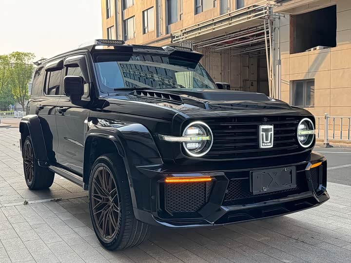 Фото 3 - Tank 300