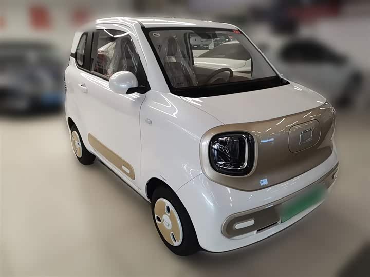 Фото 7 - Bestune Pony