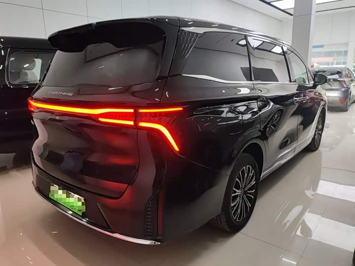 Фото 7 - Dongfeng Forthing Xinghai V9