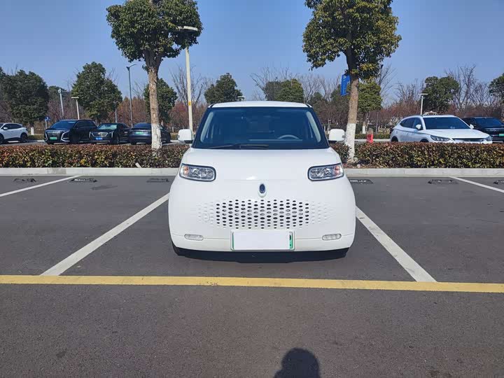 Фото 2 - Ora White Cat