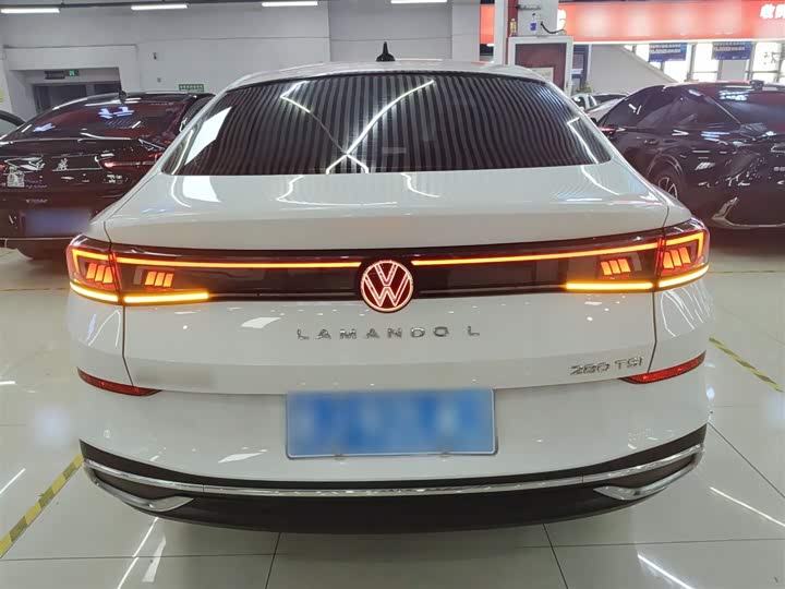 Фото 6 - Volkswagen Lamando L