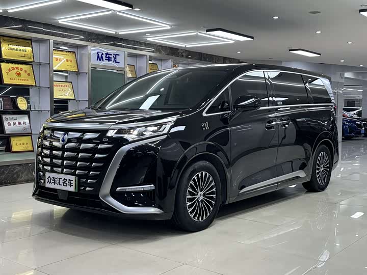 Фото 1 - Denza D9