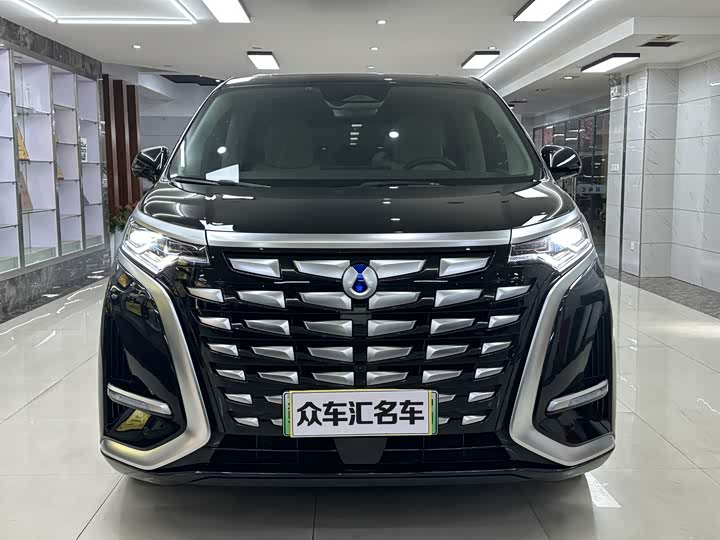 Фото 2 - Denza D9