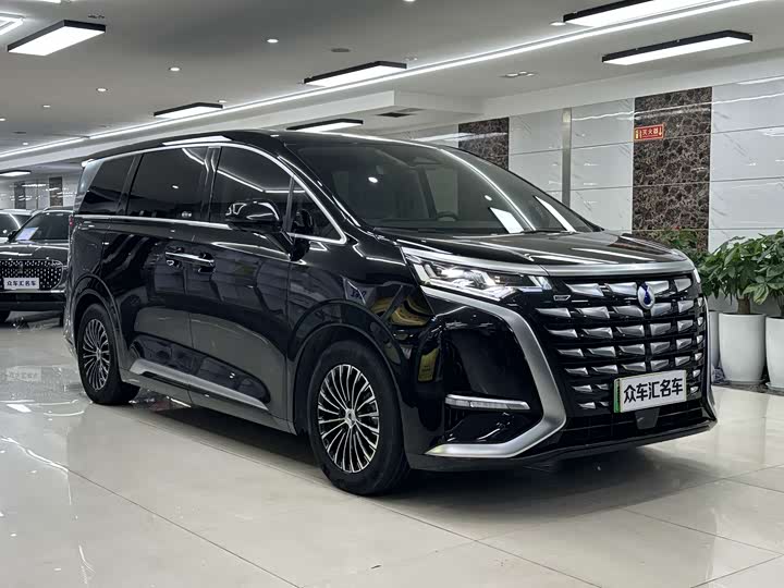 Фото 3 - Denza D9