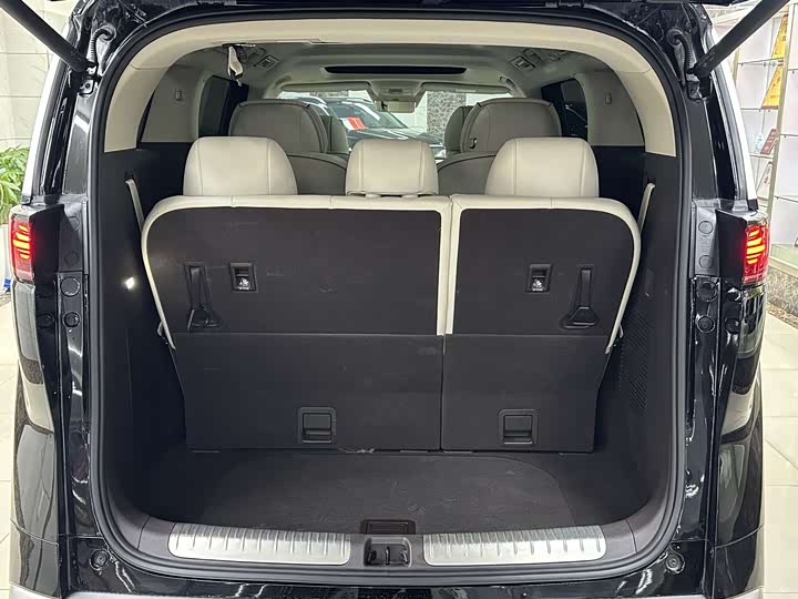 Фото 7 - Denza D9