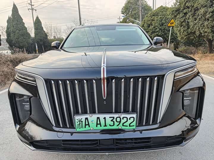 Фото 1 - Hongqi E-HS9