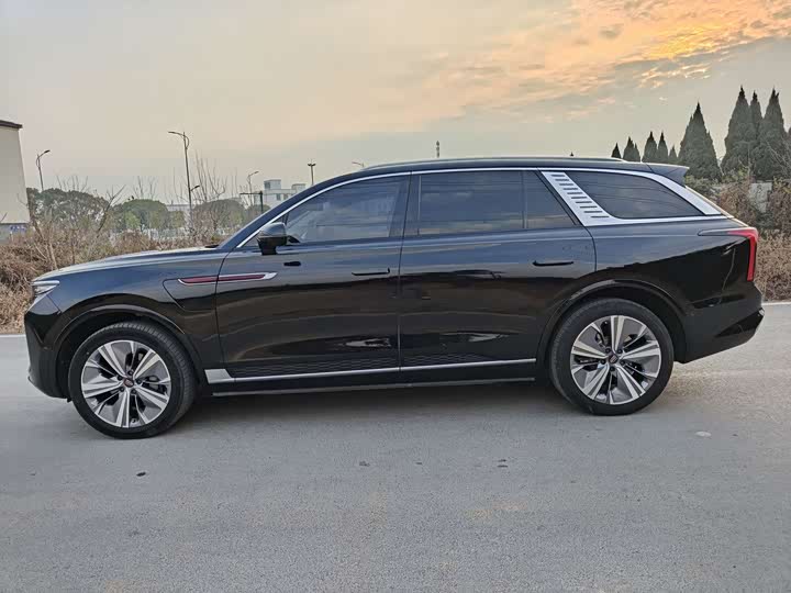Фото 3 - Hongqi E-HS9