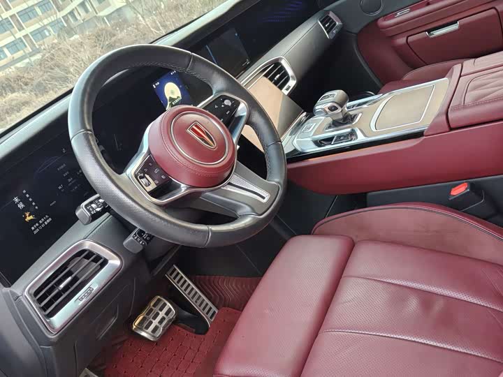 Фото 6 - Hongqi E-HS9