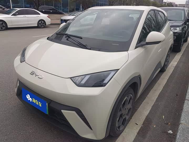 Фото 1 - BYD Seagull