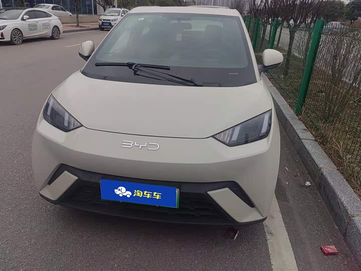 Фото 2 - BYD Seagull