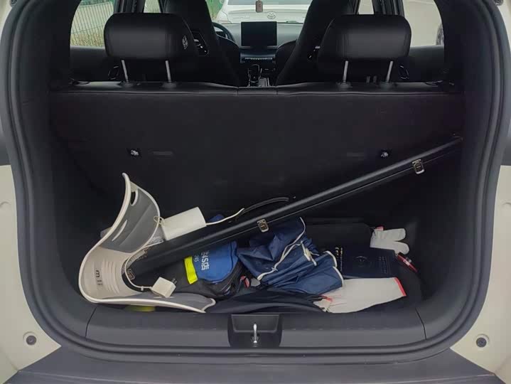 Фото 4 - BYD Seagull