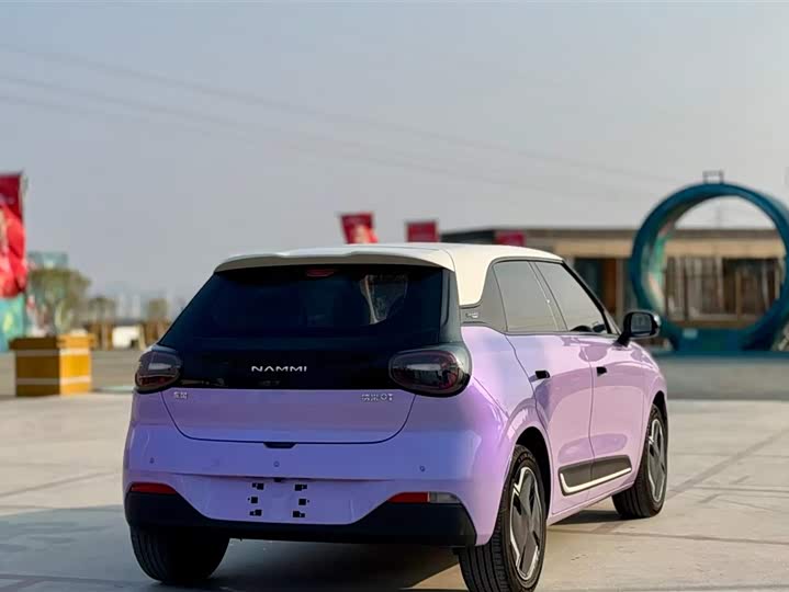 Фото 3 - Dongfeng Nammi 01