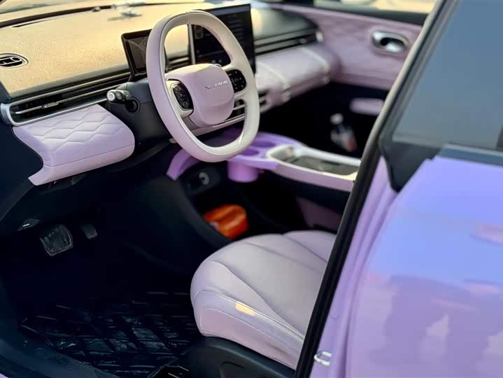 Фото 9 - Dongfeng Nammi 01