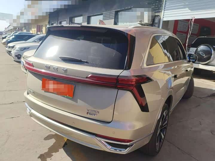 Фото 4 - Wey Lanshan