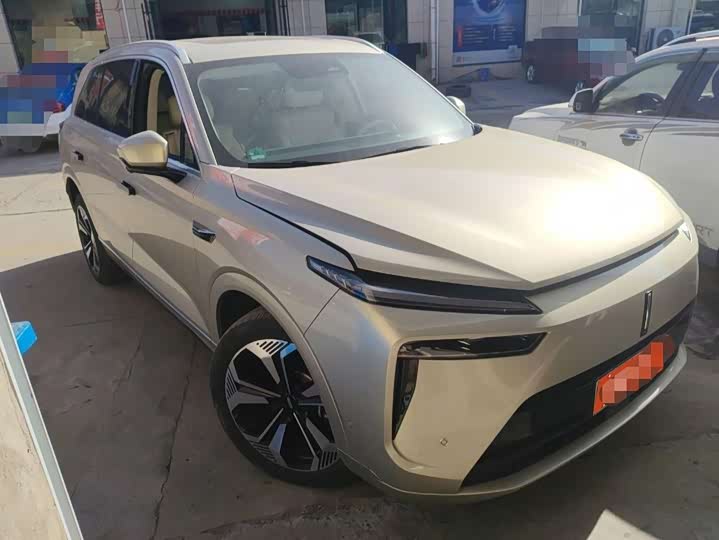 Фото 5 - Wey Lanshan