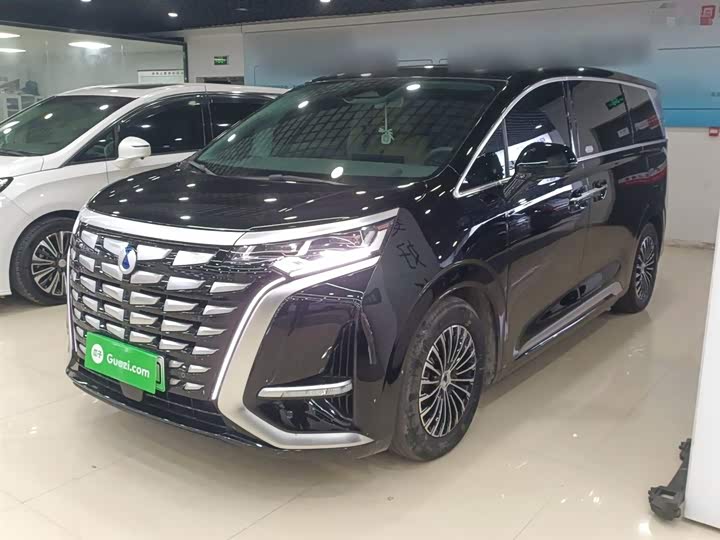 Фото 2 - Denza D9