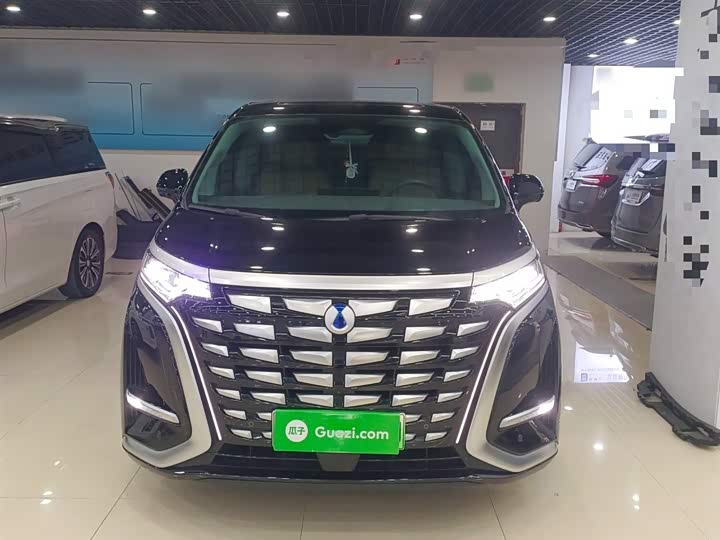 Фото 3 - Denza D9