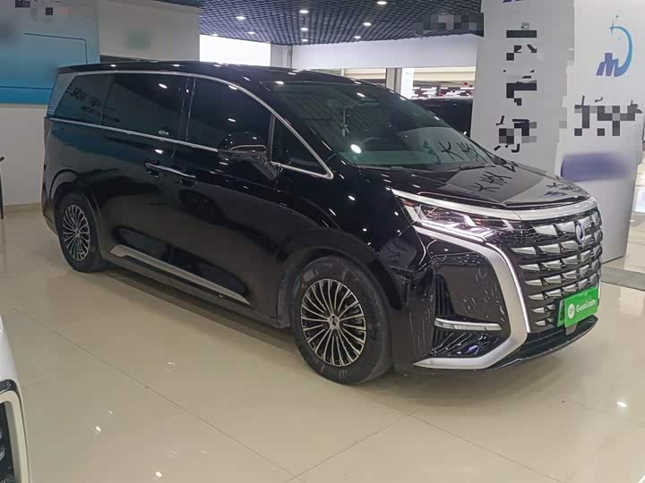 Фото 4 - Denza D9