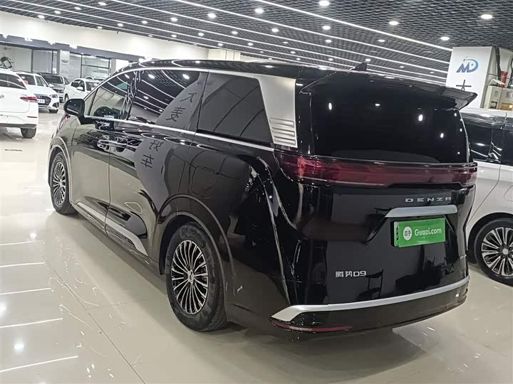 Фото 5 - Denza D9