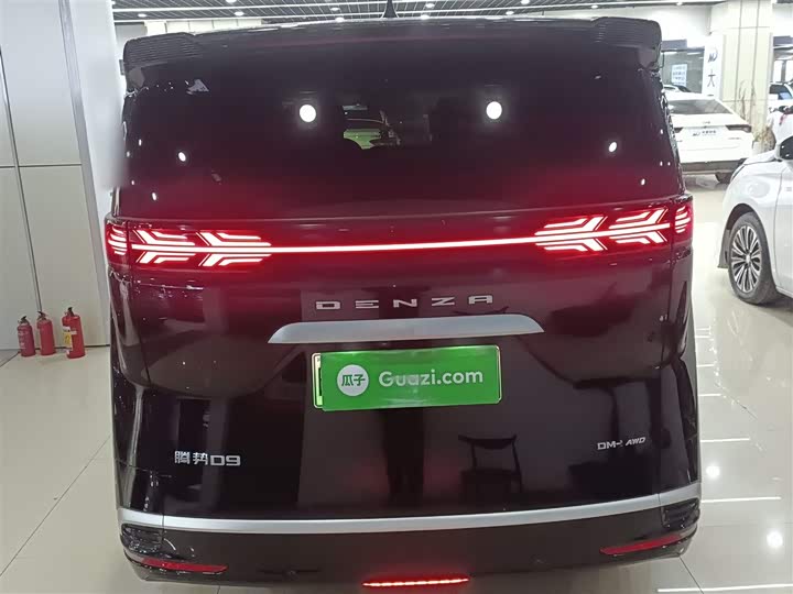 Фото 6 - Denza D9