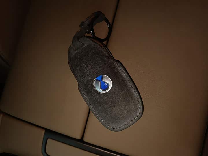 Фото 9 - Denza D9