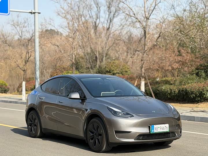 Фото 3 - Tesla Model Y