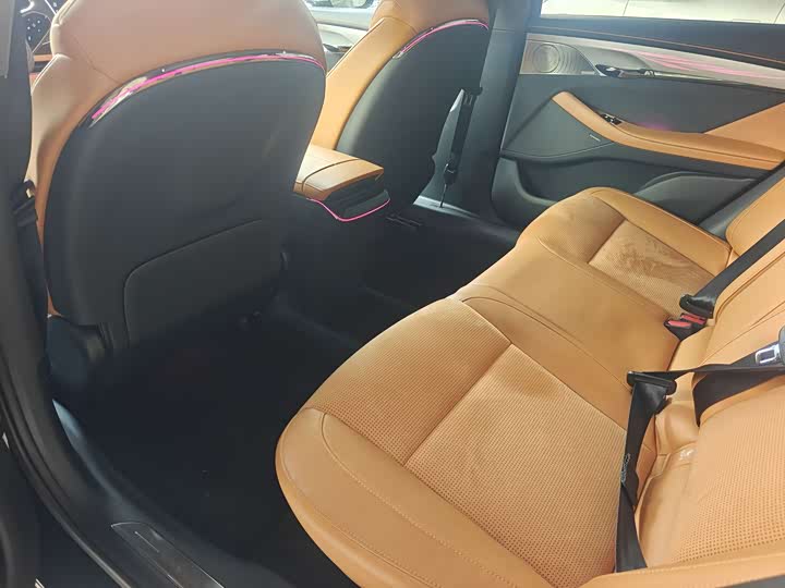 Фото 6 - Voyah Passion