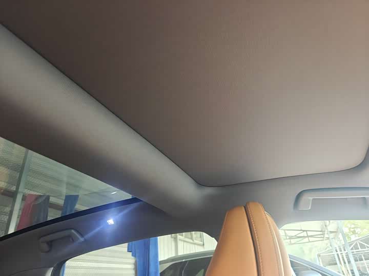 Фото 7 - Voyah Passion