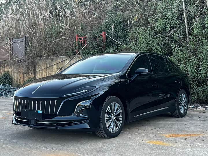 Фото 1 - Hongqi E-QM5