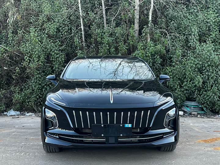 Фото 2 - Hongqi E-QM5