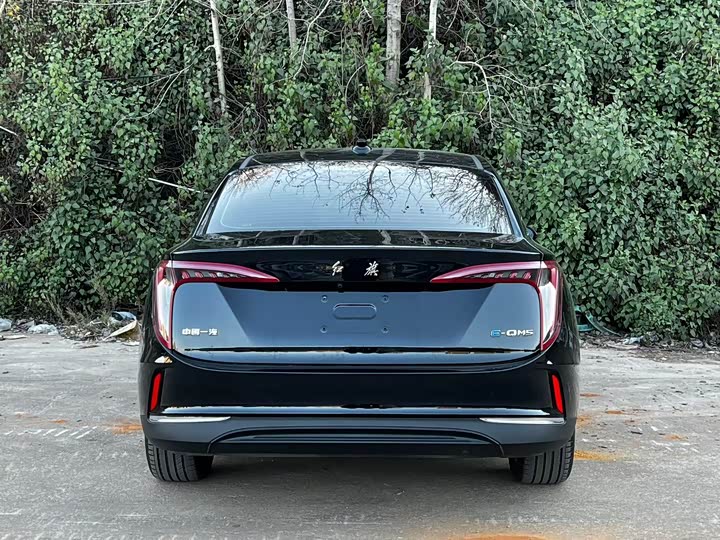 Фото 8 - Hongqi E-QM5