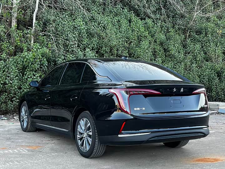 Фото 9 - Hongqi E-QM5