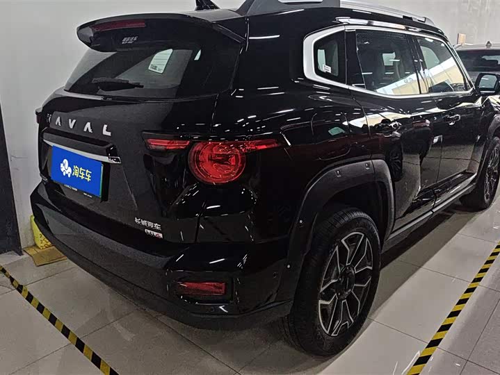 Фото 3 - Haval H-Dog Hybrid