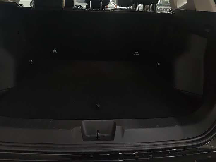 Фото 4 - Haval H-Dog Hybrid