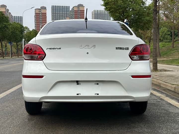 Фото 4 - Kia Pegas