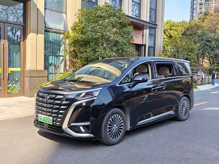 Фото 1 - Denza D9