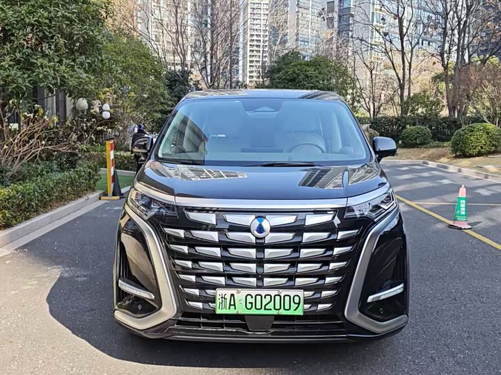 Фото 2 - Denza D9