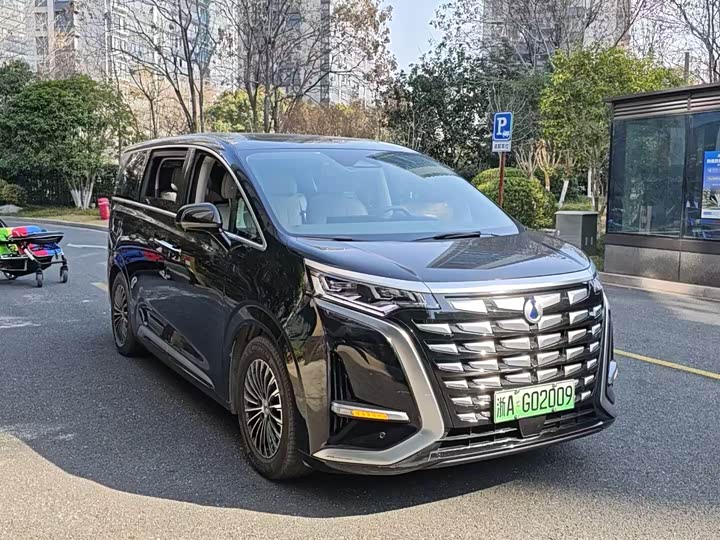 Фото 3 - Denza D9