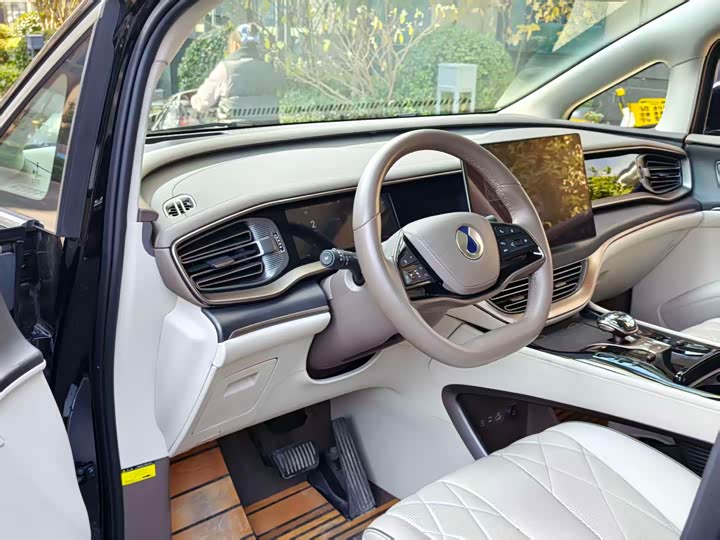 Фото 4 - Denza D9