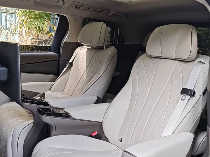 Фото 5 - Denza D9