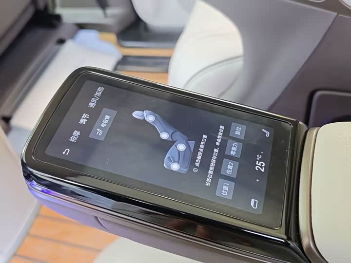 Фото 6 - Denza D9