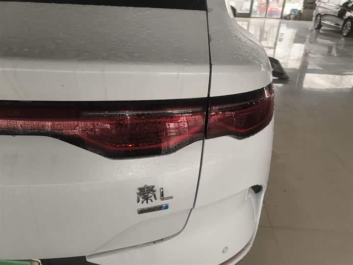 Фото 8 - BYD Qin L