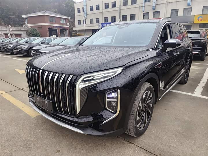 Фото 1 - Hongqi HS7 Hybrid