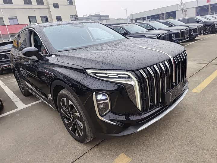 Фото 4 - Hongqi HS7 Hybrid