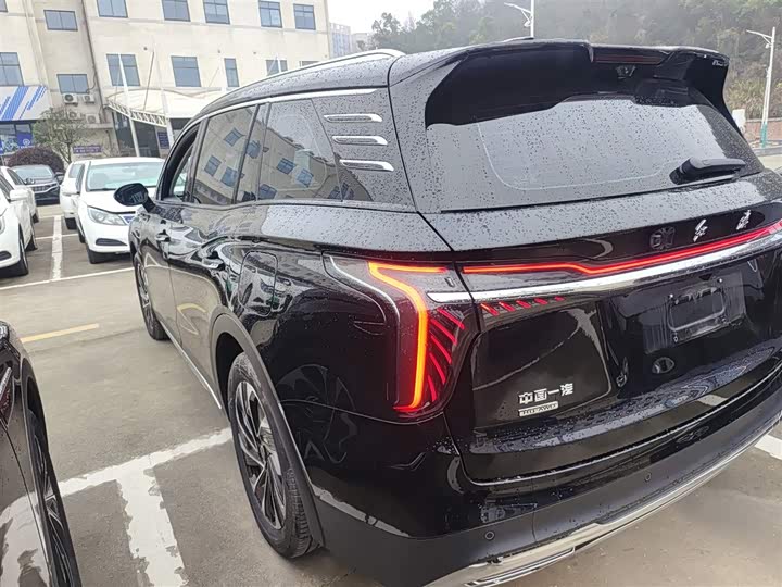 Фото 5 - Hongqi HS7 Hybrid